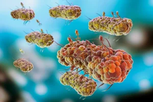 Is Helicobacter Pylori Bacteria Contagious? What You Need to Know
